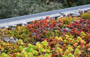 the cost of Higher Rocombe Barton green roof installation