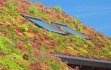 Higher Rocombe Barton living roof systems